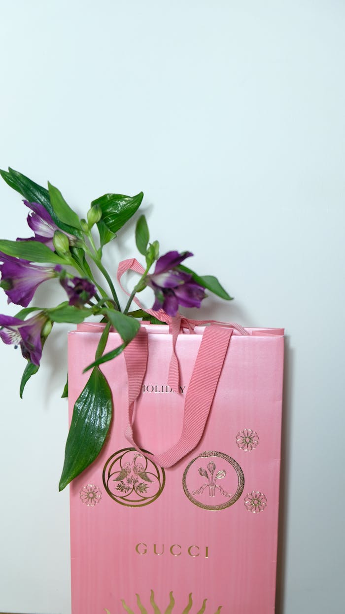 Fragrant bright violet flower with green leaves in pink paper shopping bag against gray background